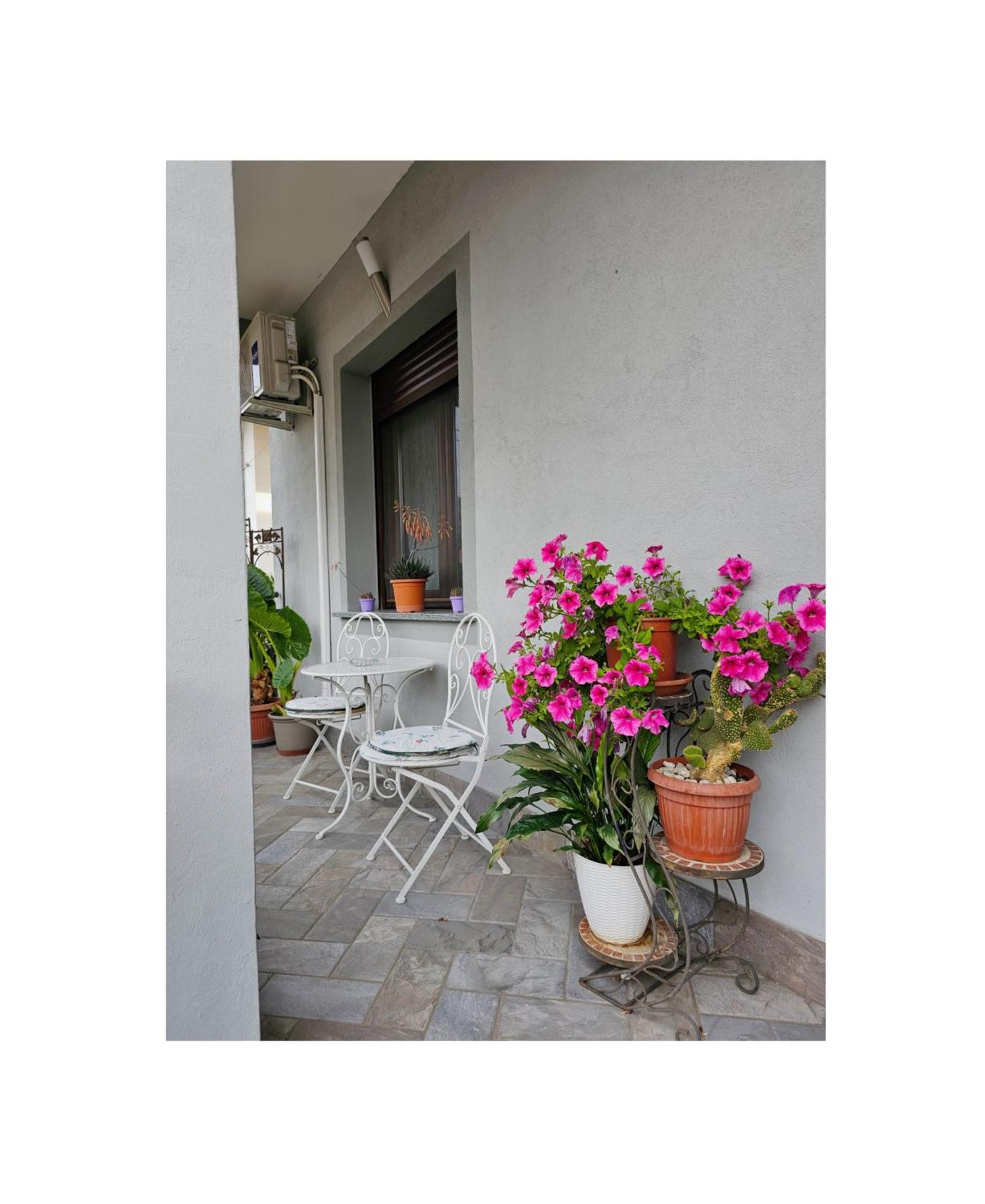 The Dreamers Cardano Al Campo Exterior photo